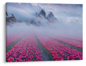 Kép - Tájkép tulipánmezőkkel (70x50 cm)