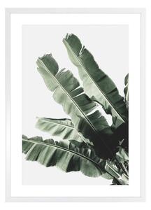 Banana leaf I. kép