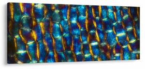 Kép - Sejtfal (120x50 cm)