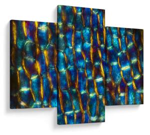 Kép - Sejtfal (90x60 cm)