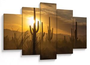 Kép - Saguaro kaktuszok (150x105 cm)