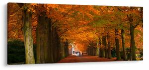 Kép - A Avenue of fák ősszel (120x50 cm)