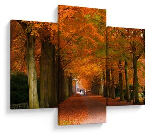 Kép - A Avenue of fák ősszel (90x60 cm)