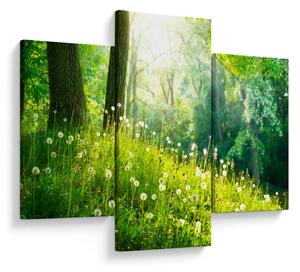Kép - Varázslatos rét tele pitypanggal (90x60 cm)