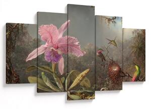 Kép - Martin Johnson Heade, Cattleya Orchid and Three Hummingbirds, reprodukciók (150x105 cm)
