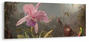 Kép - Martin Johnson Heade, Cattleya Orchid and Three Hummingbirds, reprodukciók (120x50 cm)