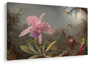 Kép - Martin Johnson Heade, Cattleya Orchid and Three Hummingbirds, reprodukciók (90x60 cm)