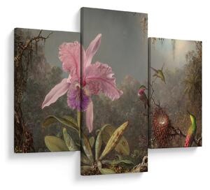 Kép - Martin Johnson Heade, Cattleya Orchid and Three Hummingbirds, reprodukciók (90x60 cm)