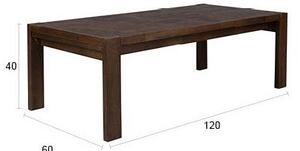 Sötét natúr színű tömörfa dohányzóasztal 60x120 cm Bruneau – Dutchbone