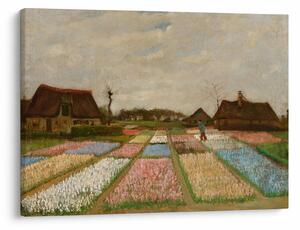 Kép - Vincent van Gogh, Flower Beds in Holland, reprodukciók (70x50 cm)