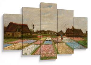 Kép - Vincent van Gogh, Flower Beds in Holland, reprodukciók (150x105 cm)