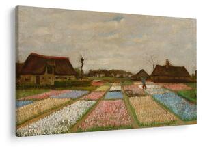 Kép - Vincent van Gogh, Flower Beds in Holland, reprodukciók (90x60 cm)