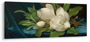 Kép - Martin Johnson Heade, Giant Magnolias on a Blue Velvet Cloth, reprodukciók (120x50 cm)
