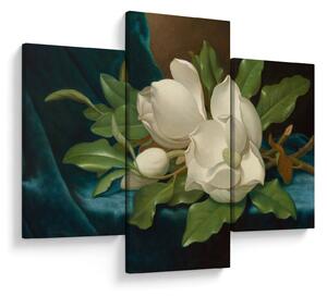 Kép - Martin Johnson Heade, Giant Magnolias on a Blue Velvet Cloth, reprodukciók (90x60 cm)