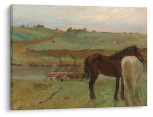 Kép - Edgar Degas, Horses in a Meadow, reprodukciók (70x50 cm)