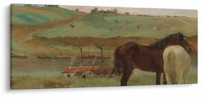 Kép - Edgar Degas, Horses in a Meadow, reprodukciók (120x50 cm)
