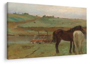 Kép - Edgar Degas, Horses in a Meadow, reprodukciók (90x60 cm)