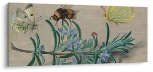 Kép - Jan van Kessel the Elder, Insects and a Sprig of Rosemary, reprodukciók (120x50 cm)