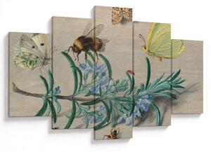 Kép - Jan van Kessel the Elder, Insects and a Sprig of Rosemary, reprodukciók (150x105 cm)