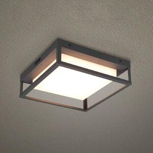 Trio Lighting LED kültéri mennyezeti lámpa Witham IP54, CCT, antracit, Fekete, fém, Modern