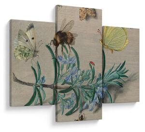 Kép - Jan van Kessel the Elder, Insects and a Sprig of Rosemary, reprodukciók (90x60 cm)
