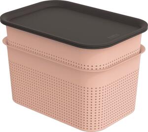 Fedeles tároló doboz szett BRISEN 2x 4,5L rózsaszín/antracit