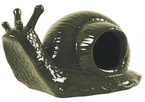 Csigacsapda