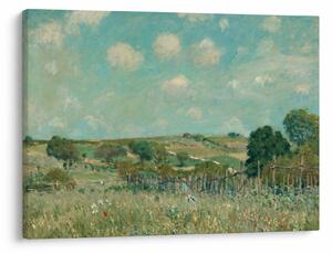 Kép - Alfred Sisley, Meadow, reprodukciók (70x50 cm)