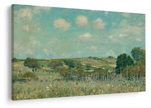 Kép - Alfred Sisley, Meadow, reprodukciók (90x60 cm)