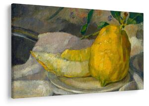 Kép - French 19th Century, Melon and Lemon, reprodukciók (90x60 cm)