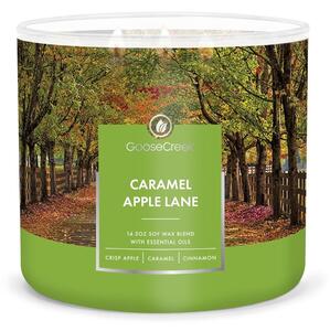 Caramel Apple Lane illatgyertya, égési idő 35 óra - Goose Creek