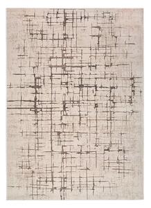 Krémszínű szőnyeg 80x120 cm Ceres – Universal