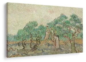 Kép - Vincent van Gogh, The Olive Orchard, reprodukciók (90x60 cm)