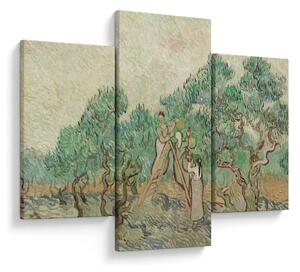 Kép - Vincent van Gogh, The Olive Orchard, reprodukciók (90x60 cm)