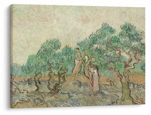 Kép - Vincent van Gogh, The Olive Orchard, reprodukciók (70x50 cm)