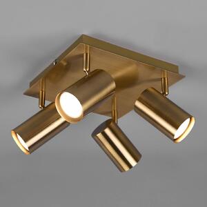 Trio Lighting Marley mennyezeti spotlámpa, antik sárgaréz, 4 lámpás, dimmelhető, Bronz / antik sárgaréz, Nappali / Étkező, fém, Modern