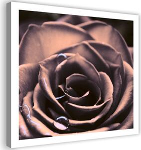 Gario Vászonkép Vízcseppek egy rózsán Méret: 30 x 30 cm