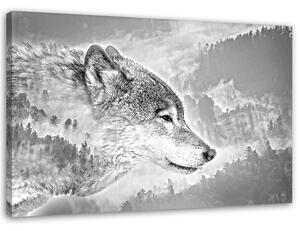 Gario Vászonkép Farkas havas háttérrel Méret: 60 x 40 cm