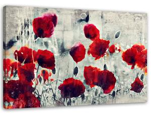 Gario Vászonkép Festett piros pipacsok fekete-fehér réten Méret: 60 x 40 cm