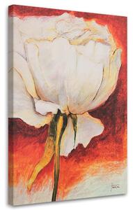 Gario Vászonkép Fehér pünkösdi rózsa - kézzel festett Méret: 40 x 60 cm