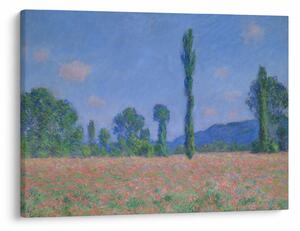 Kép - Claude Monet, Poppy Field (Giverny), reprodukciók (70x50 cm)
