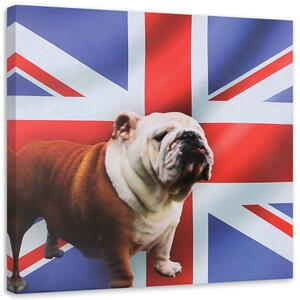 Gario Vászonkép Angol bulldog zászlós háttéren Méret: 30 x 30 cm