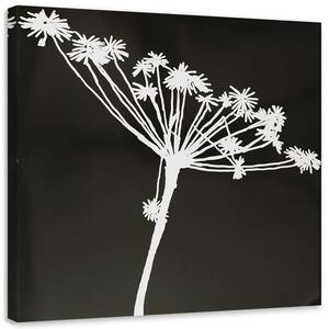 Kép Cyperus fehér árnyéka Méretek: 30 x 30 cm, Kivitelezés: Vászonkép