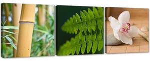 Gario Vászonképek készlet Nyugtató természet - 3 részes Méret: 90 x 30 cm