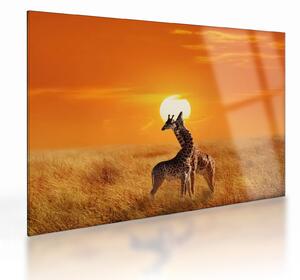 Üveg kép - Zsiráfok a Serengeti Nemzeti Parkban (70x50 cm)