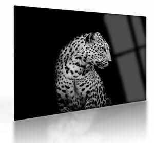 Üveg kép - Leopárd (70x50 cm)
