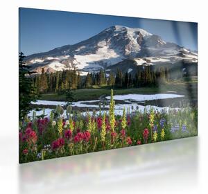 Üveg kép - Mount Rainier (70x50 cm)