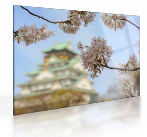Üveg kép - Sakura (70x50 cm)