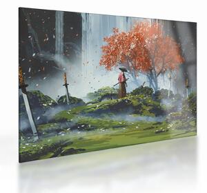 Üveg kép - A kardok kertjének illusztrációja (70x50 cm)
