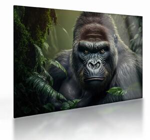 Üveg kép - Egy gorilla portréja (70x50 cm)
